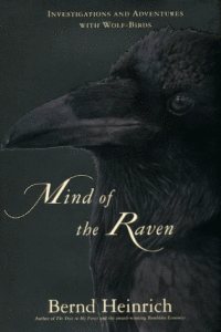 Mind of the Raven