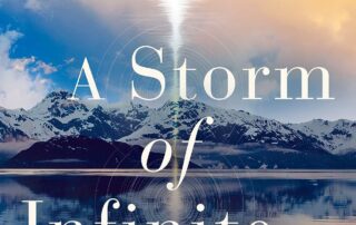 a storm of infinite beauty book cover